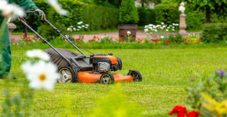 Spring-Maintenance