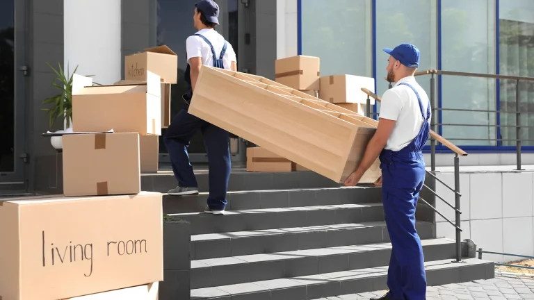 fantastic movers colorado