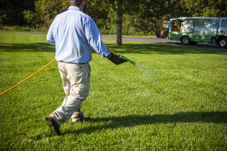 lawn care plan